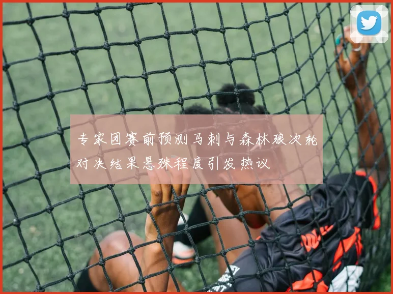 专家团赛前预测马刺与森林狼次轮对决结果悬殊程度引发热议
